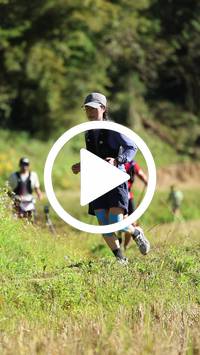 BIB:  <button type="button" onclick="openModal(26566078)" class="btn btn-primary btn-sm float-right" data-toggle="modal" data-target=".modal-high-quality">
                <i class="fa fa-download"></i> Download
                </button>